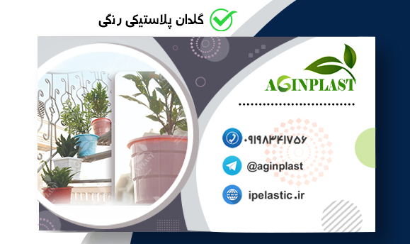 قیمت روز گلدان